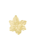 broche flower flow