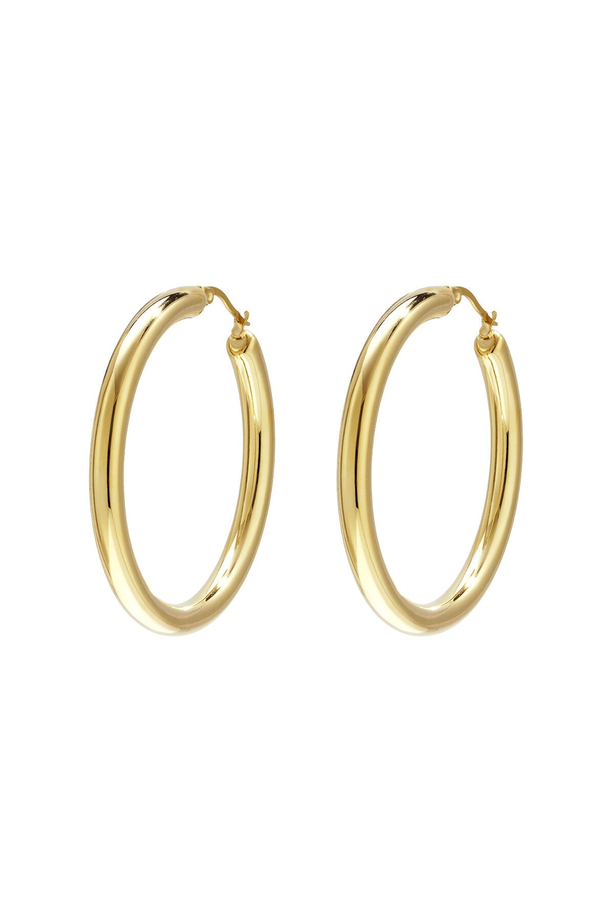 Klassieke hoops, goudkleurig roestvrij staal