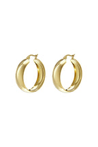 Stoere hoops oorringen, goudkleurig