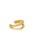 Gedraaide oorclip met dubbel effect, goudkleurig