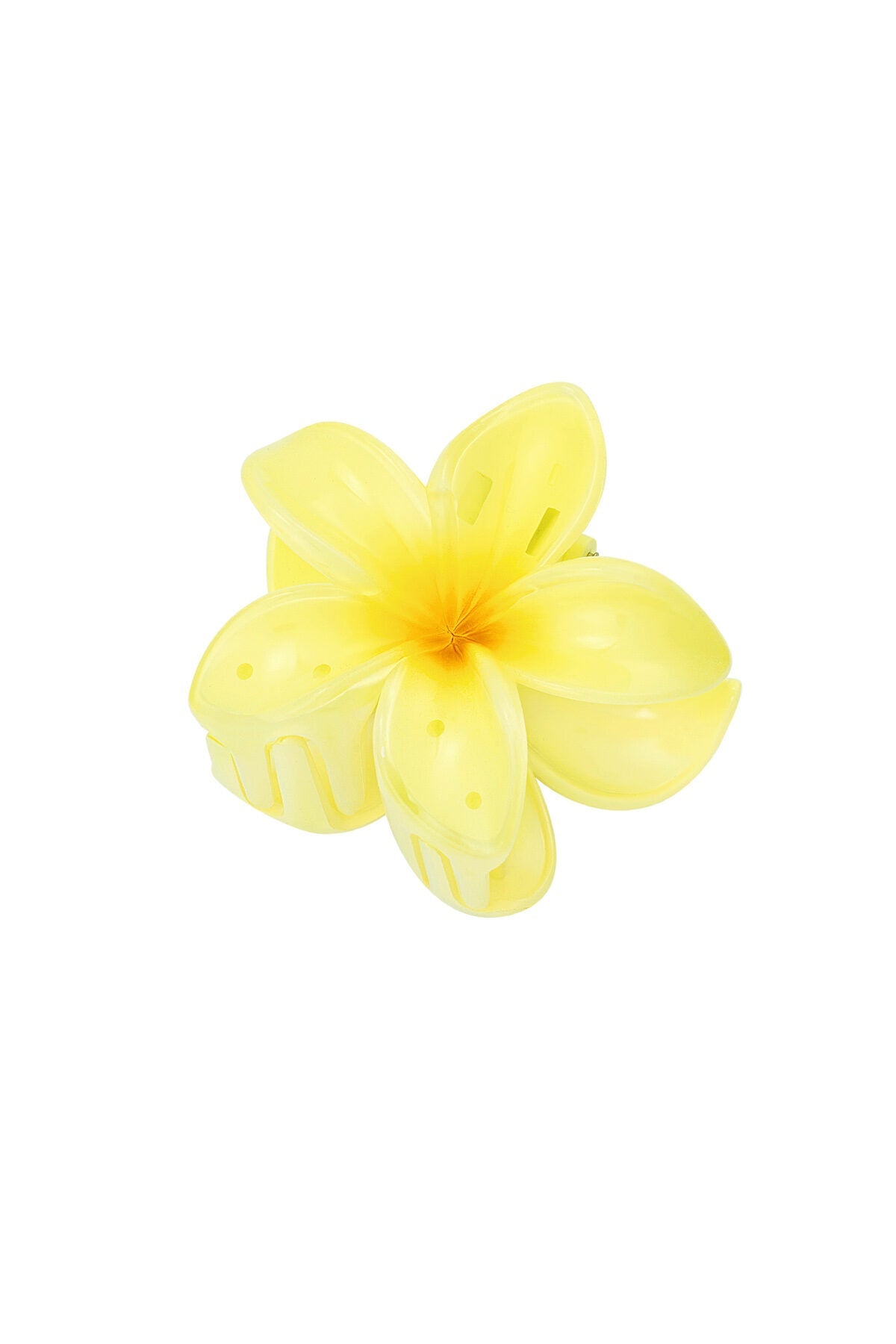 Hawaii Haarclip - Jewellery Fever