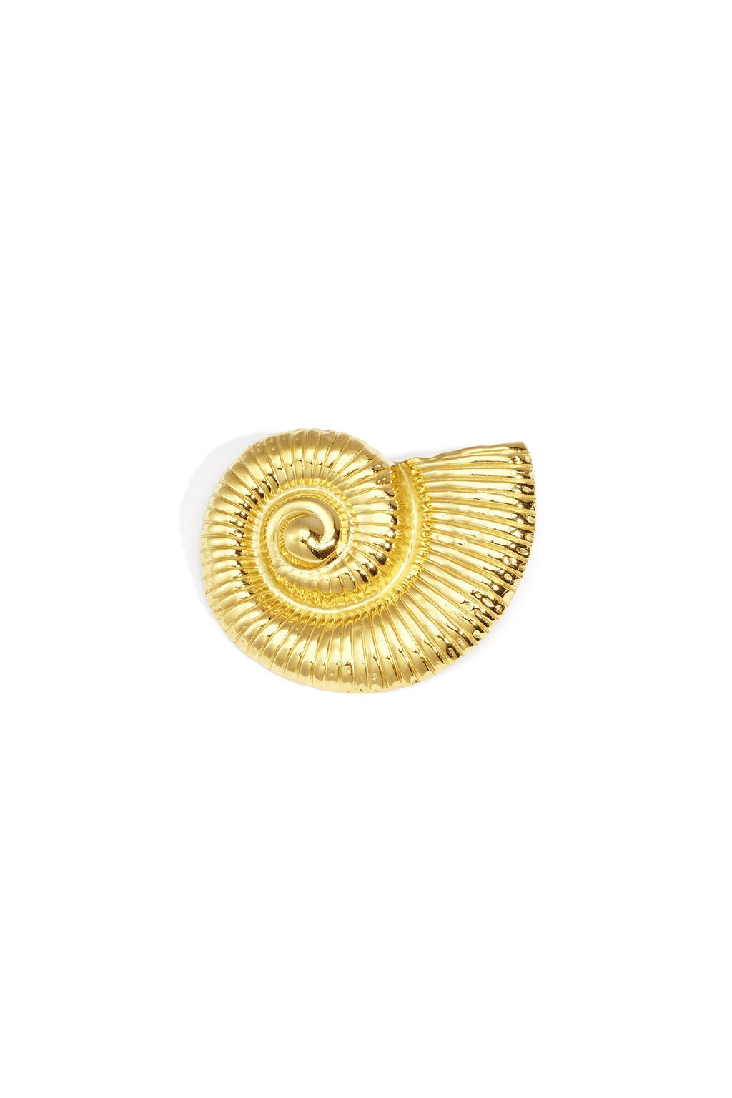 Elegante schelpenbroche, goudkleurig roestvrij staal